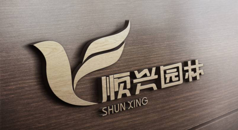 淮阳县VI设计：城市品牌蝶变的核心引擎